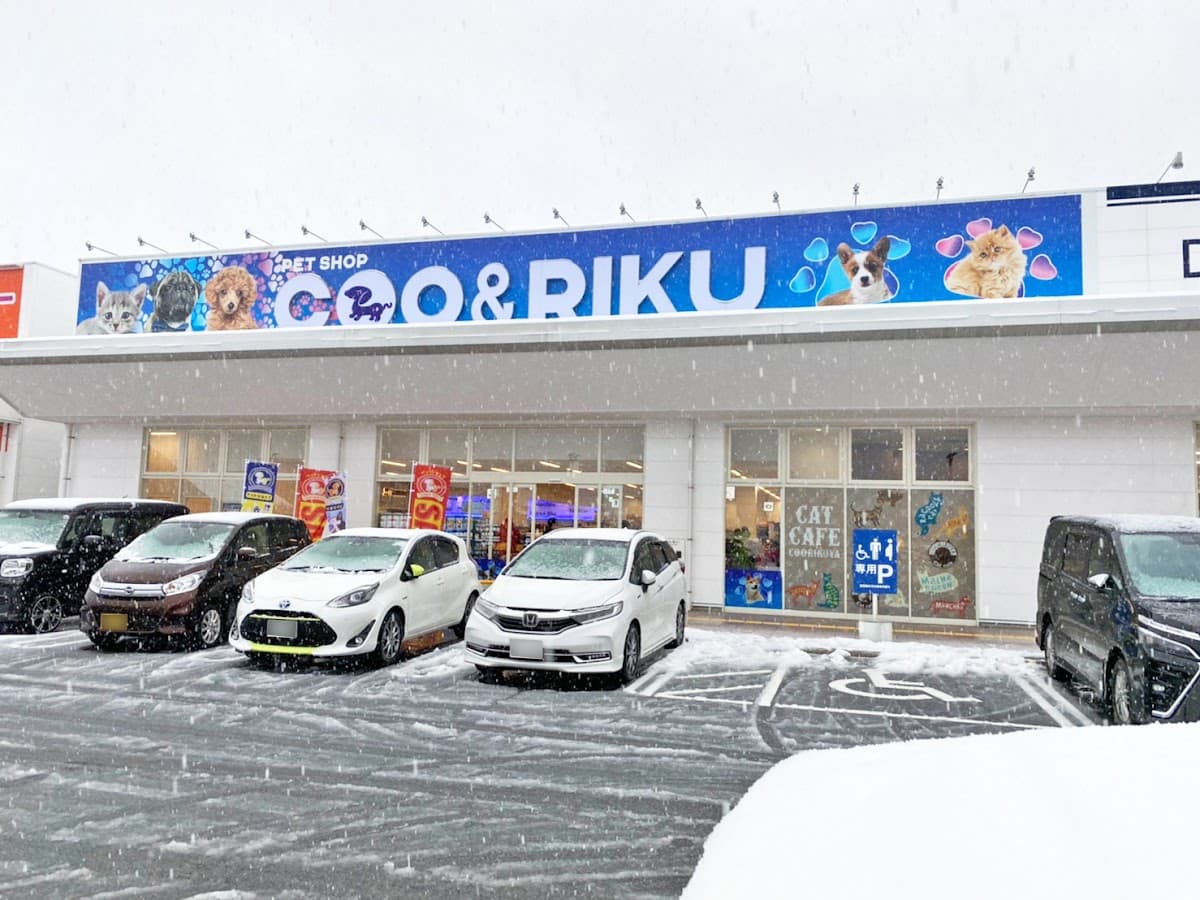ペットショップCoo&RIKU ラ・ムー鳥取東店