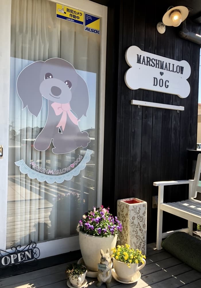 MARSHMALLOW・DOG(マシュマロ ドッグ)